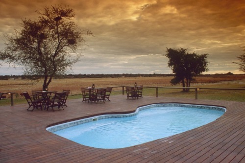 Drifters Maun Lodge zwembad